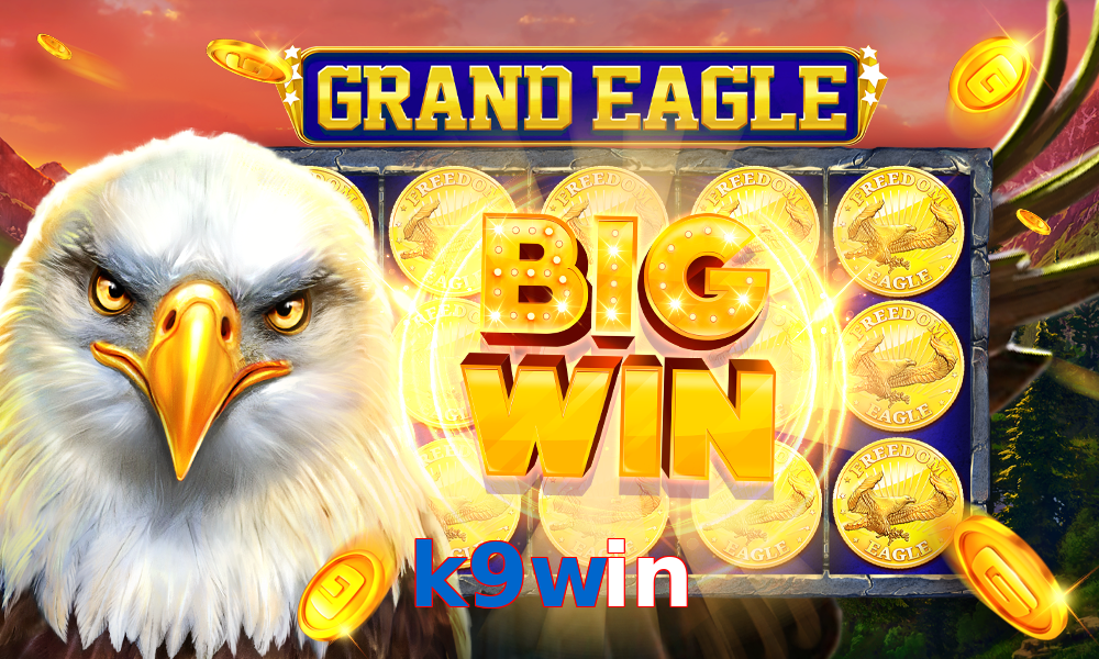 k9win