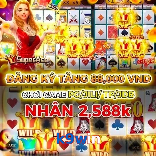 k9win